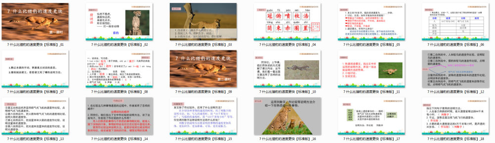 《什么比猎豹的速度更快》教学课件