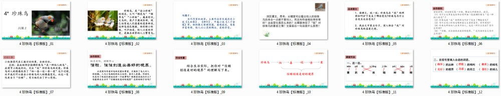 《珍珠鸟》教学课件