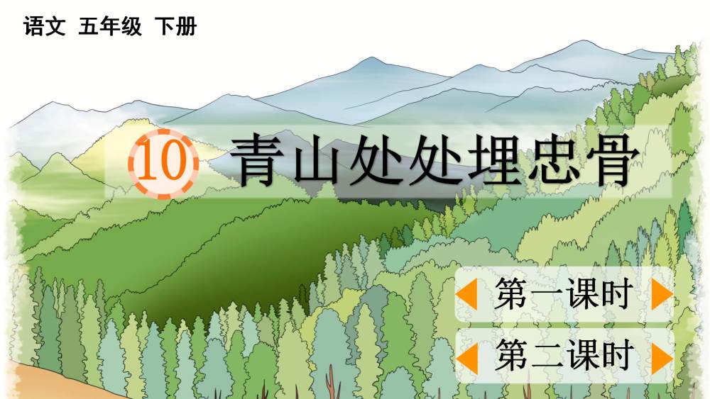 《青山处处埋忠骨》教学课件