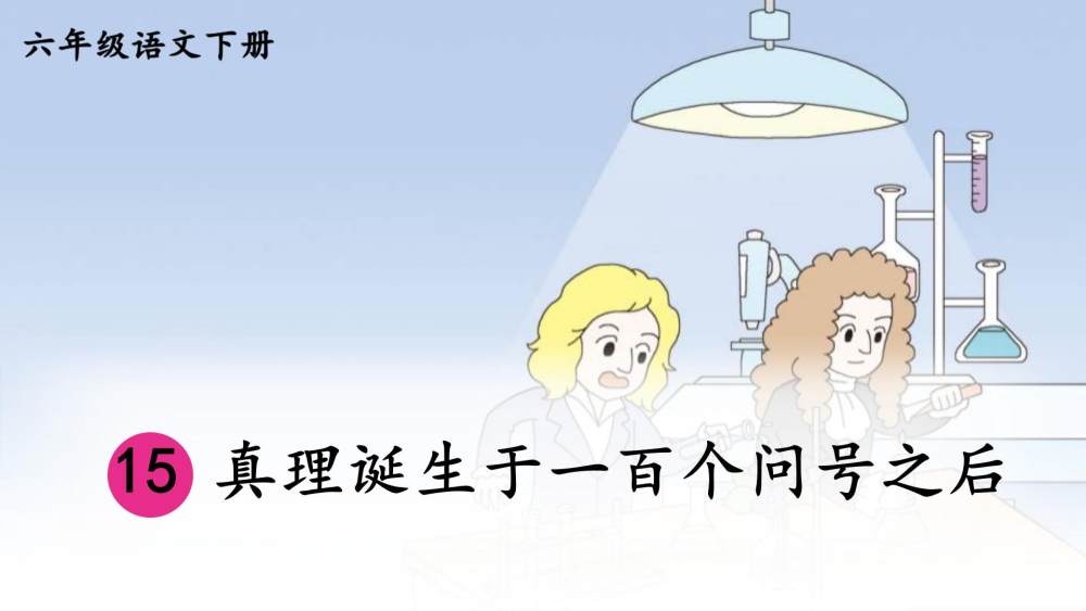 《真理诞生于一百个问号之后》教学课件