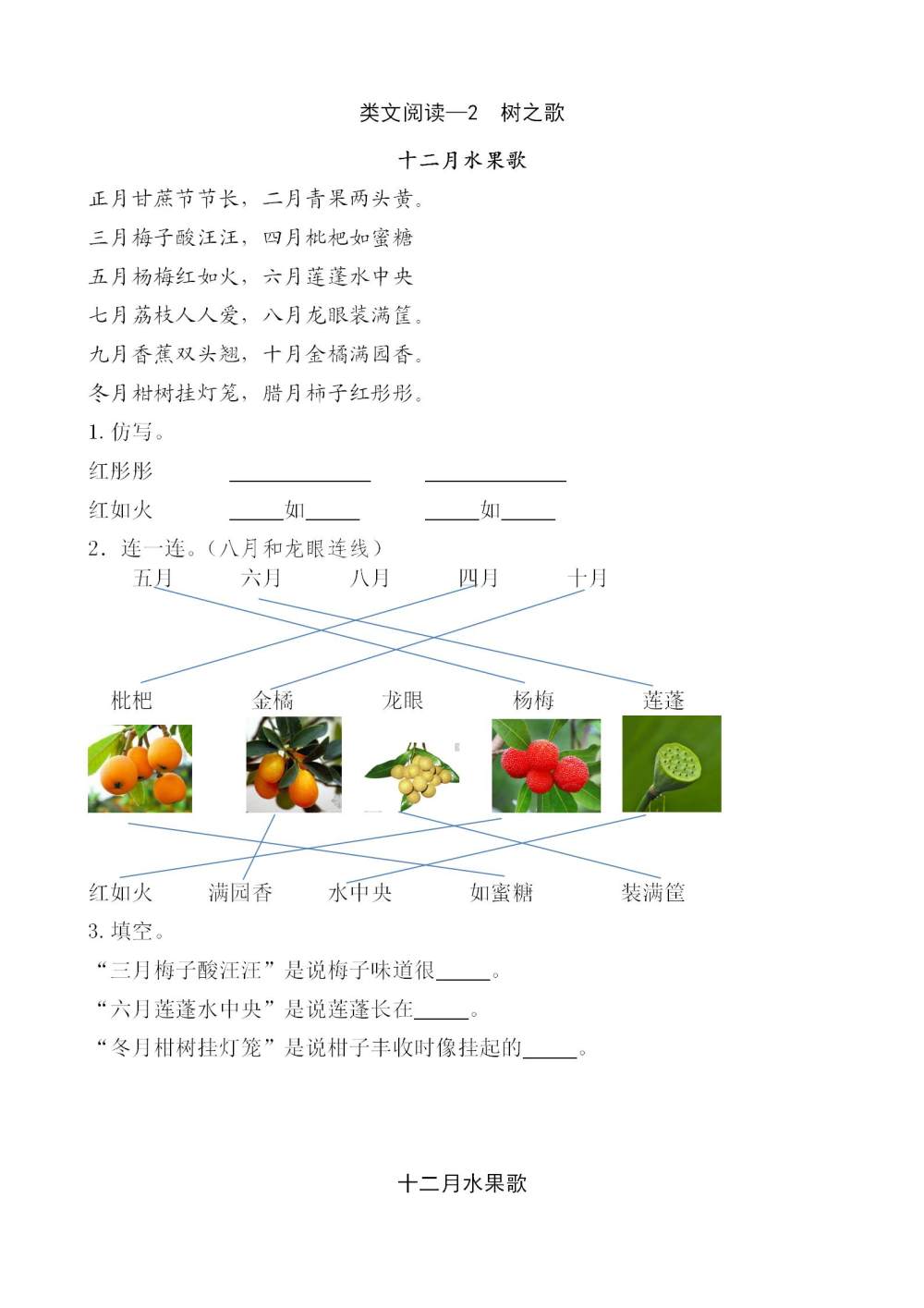 《树之歌》课文类文阅读《十二月水果歌》《爱护家园》