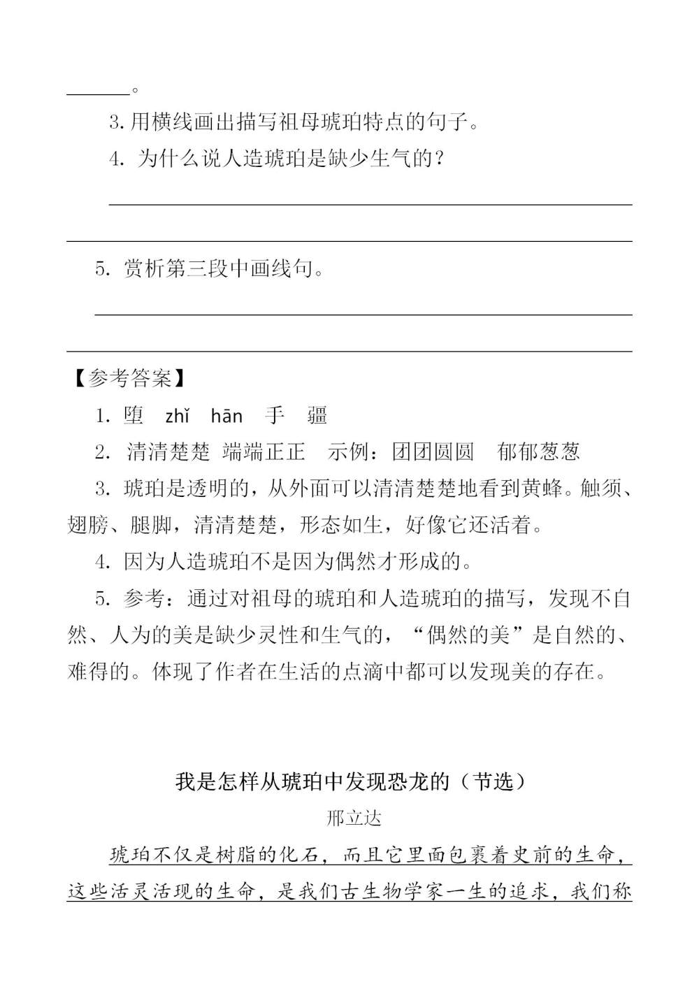 《琥珀》课文类文阅读《我是怎样从琥珀中发现恐龙的（节选）》