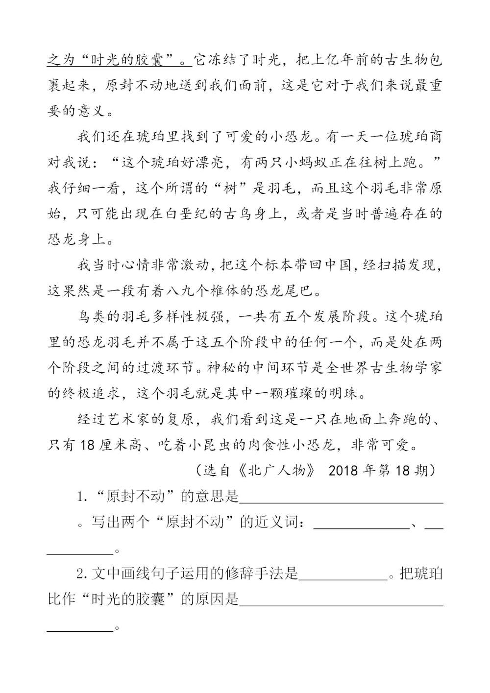 《琥珀》课文类文阅读《我是怎样从琥珀中发现恐龙的（节选）》