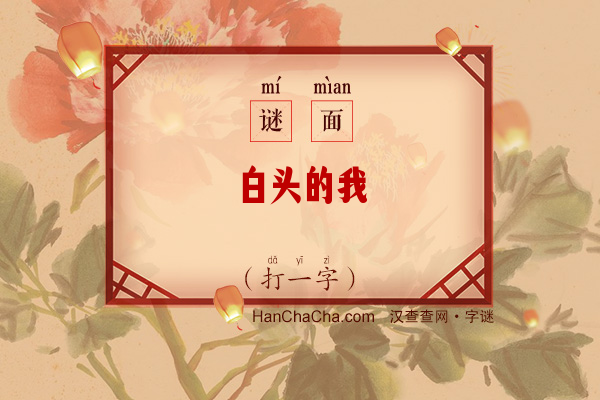 白头的我（打一字）字谜