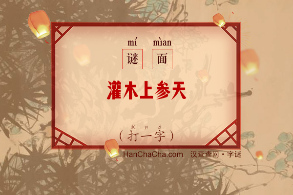 灌木上参天（打一字）字谜