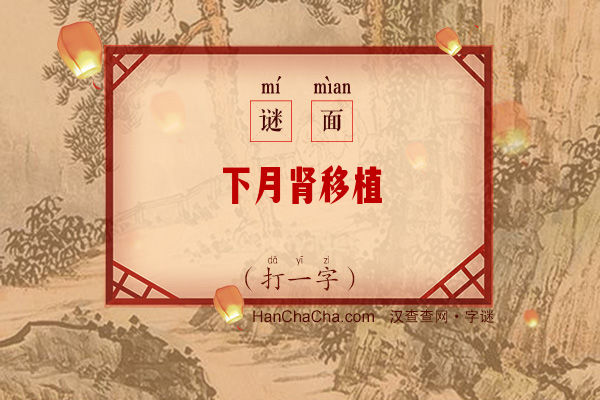 下月肾移植（打一字）字谜