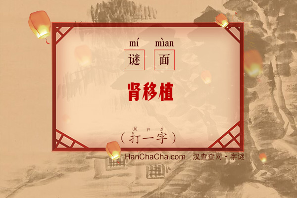 肾移植（8笔字）字谜